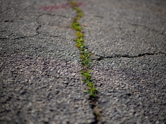 A flat patch of asphalt with many noticeable cracks in it. Small green weeds are growing up through the largest crack.