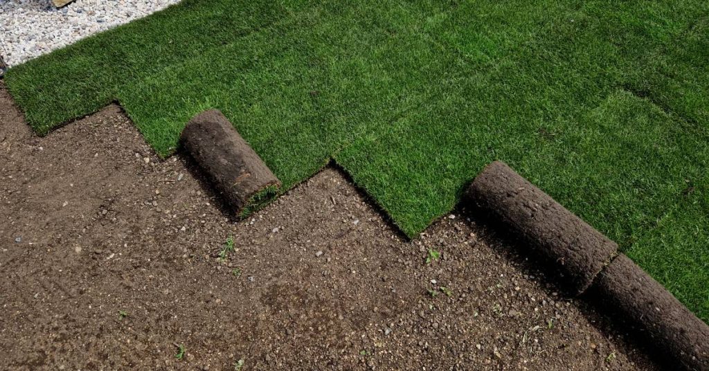 An open lawn next to a recently constructed home. Several partially unrolled bales of turf sit on the property.