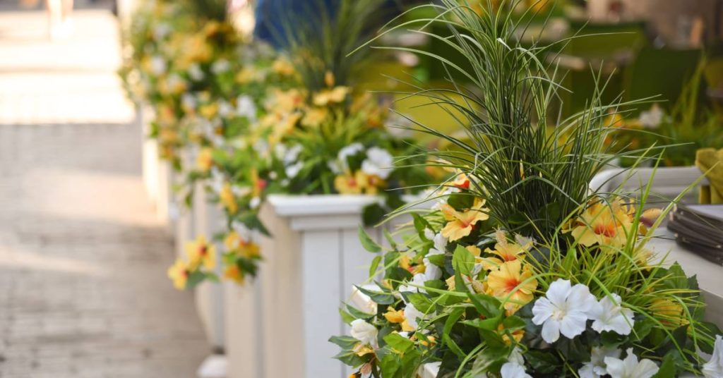 Close up of exterior plant beds with yellow and white flowers lined up along a brick path.